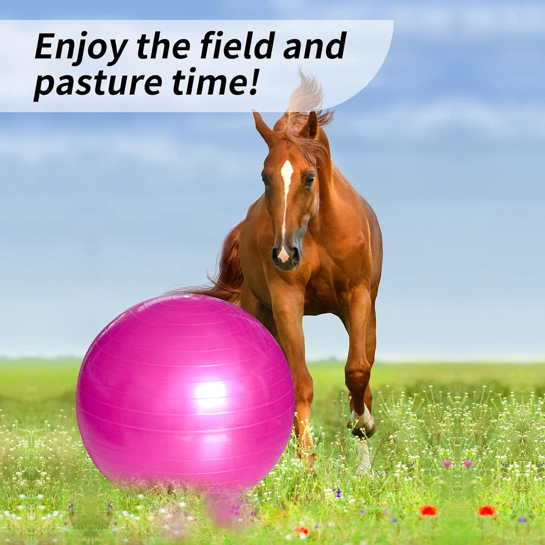 17 Inch Horse Play Balls Anti-Burst Herding Ball for Horse Mega