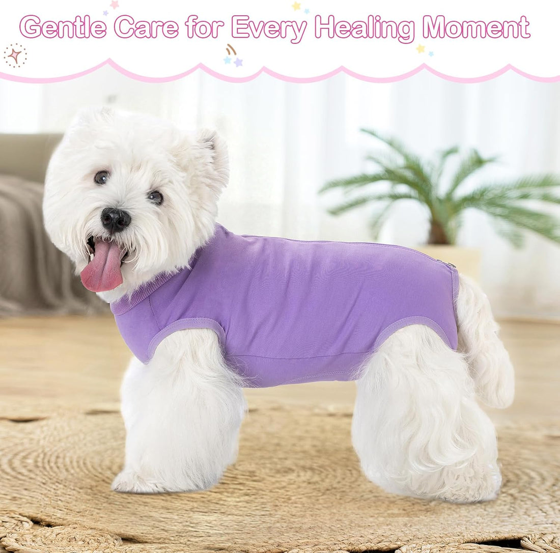 Coppthinktu Dog Recovery Suit for Dogs After Surgery Female