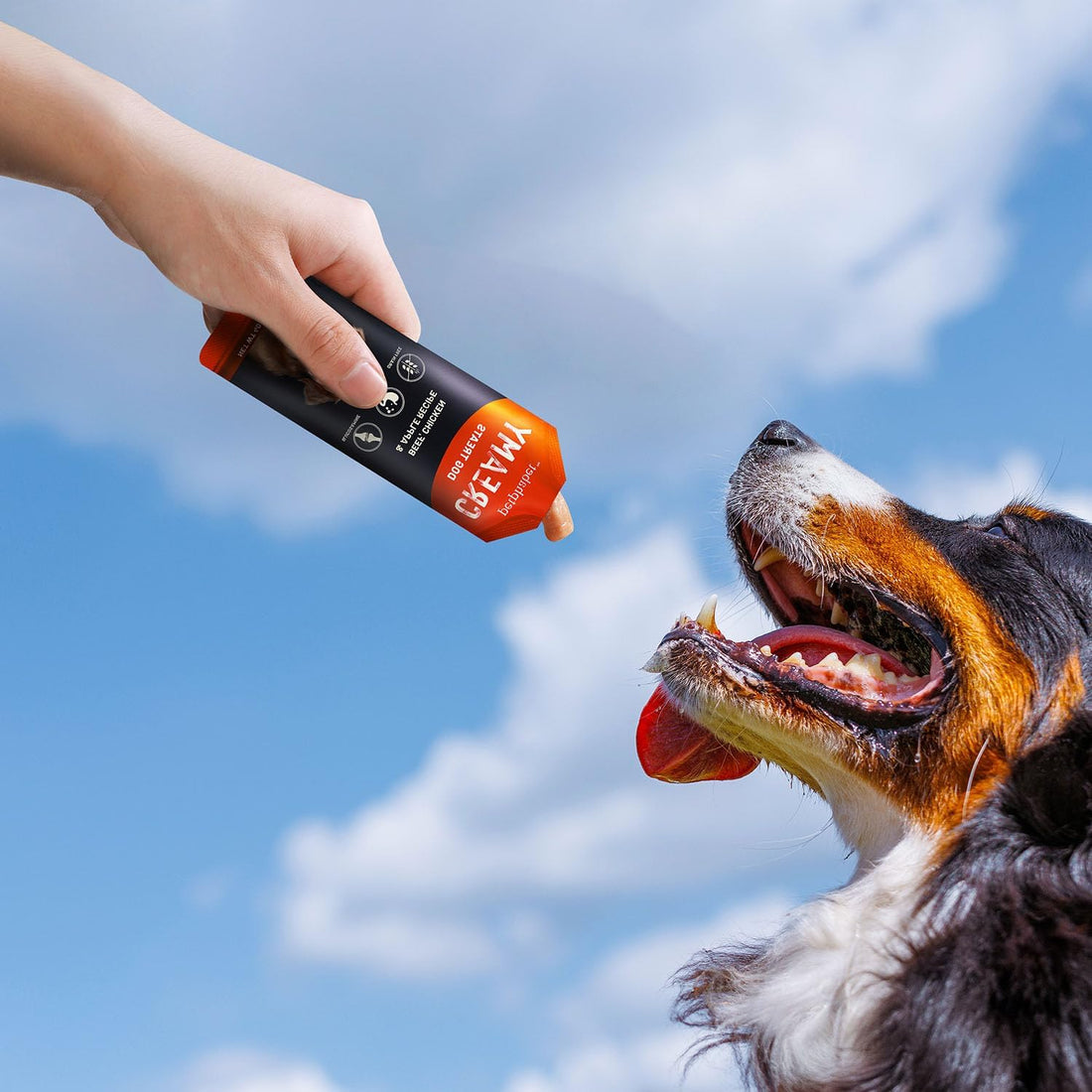 PETPHABET Lickable Squeeze Treats for Dogs