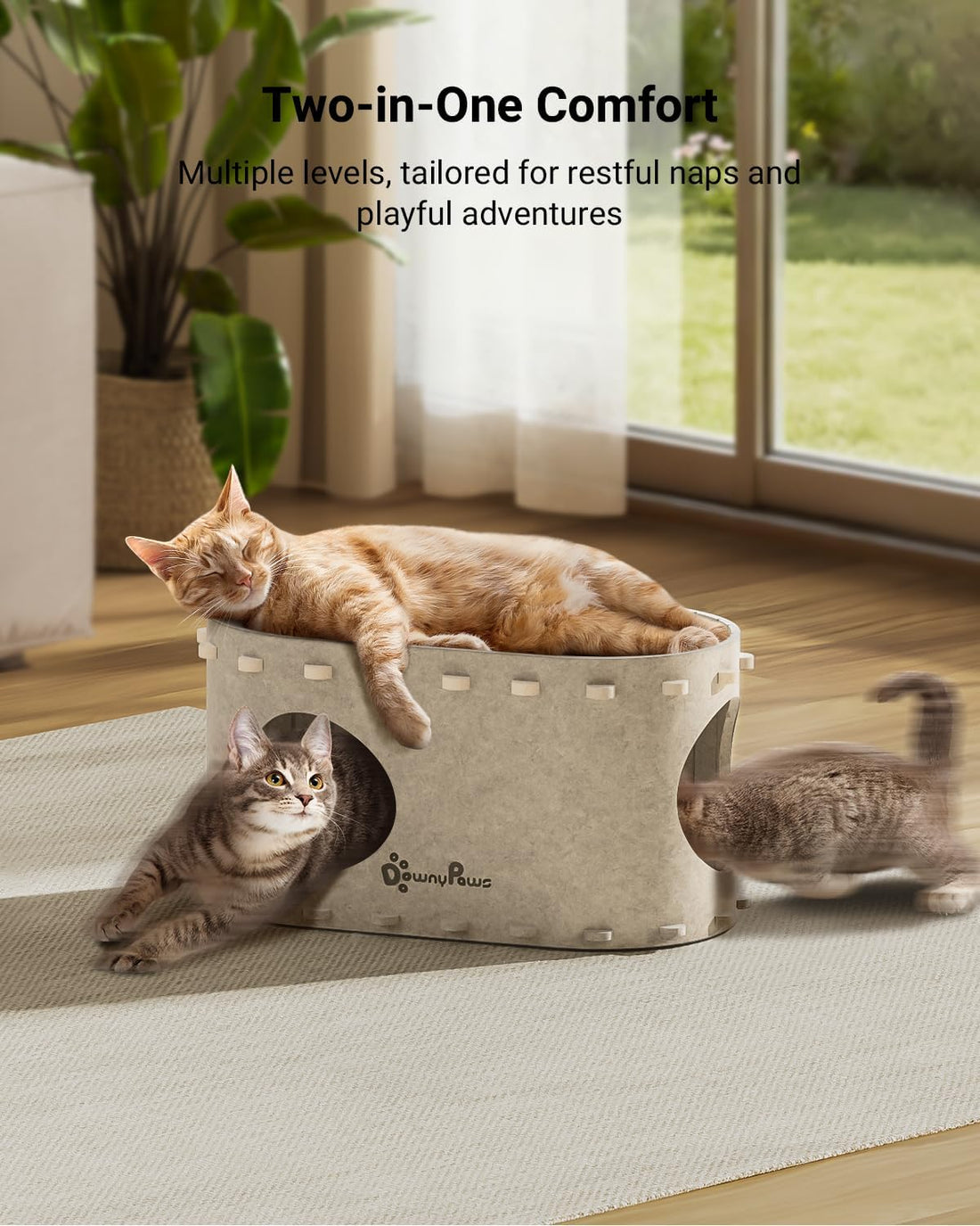 DownyPaws Cat House for Indoor Cats