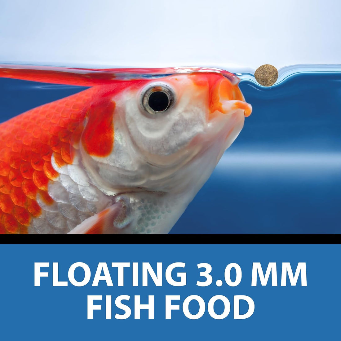 CrystalClear Staple Pond Fish Food for Koi & Goldfish, 2.2 Pound Bag