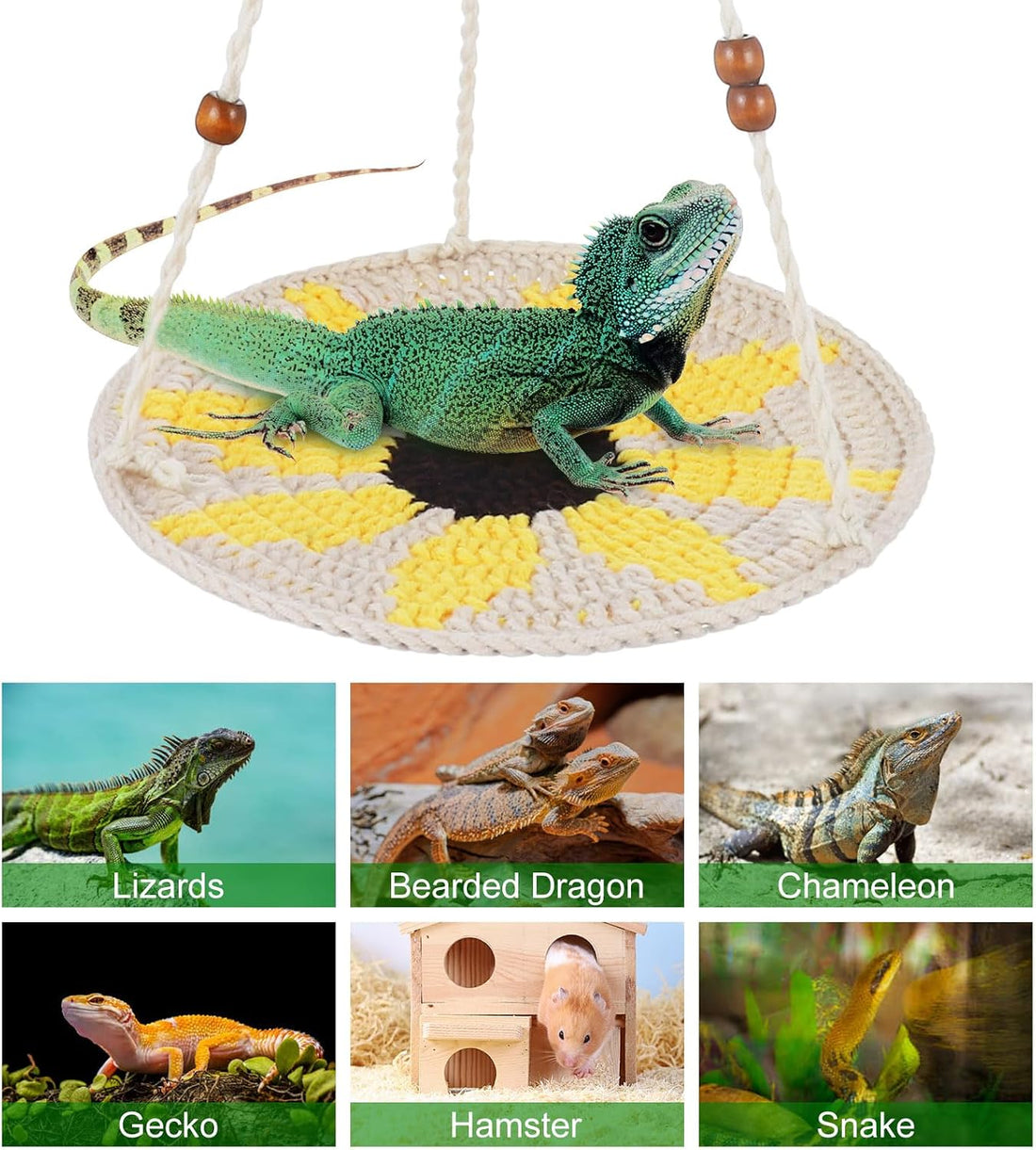 Jspupifip Reptile Hammock Bearded Dragon Accessories Reptile Summer