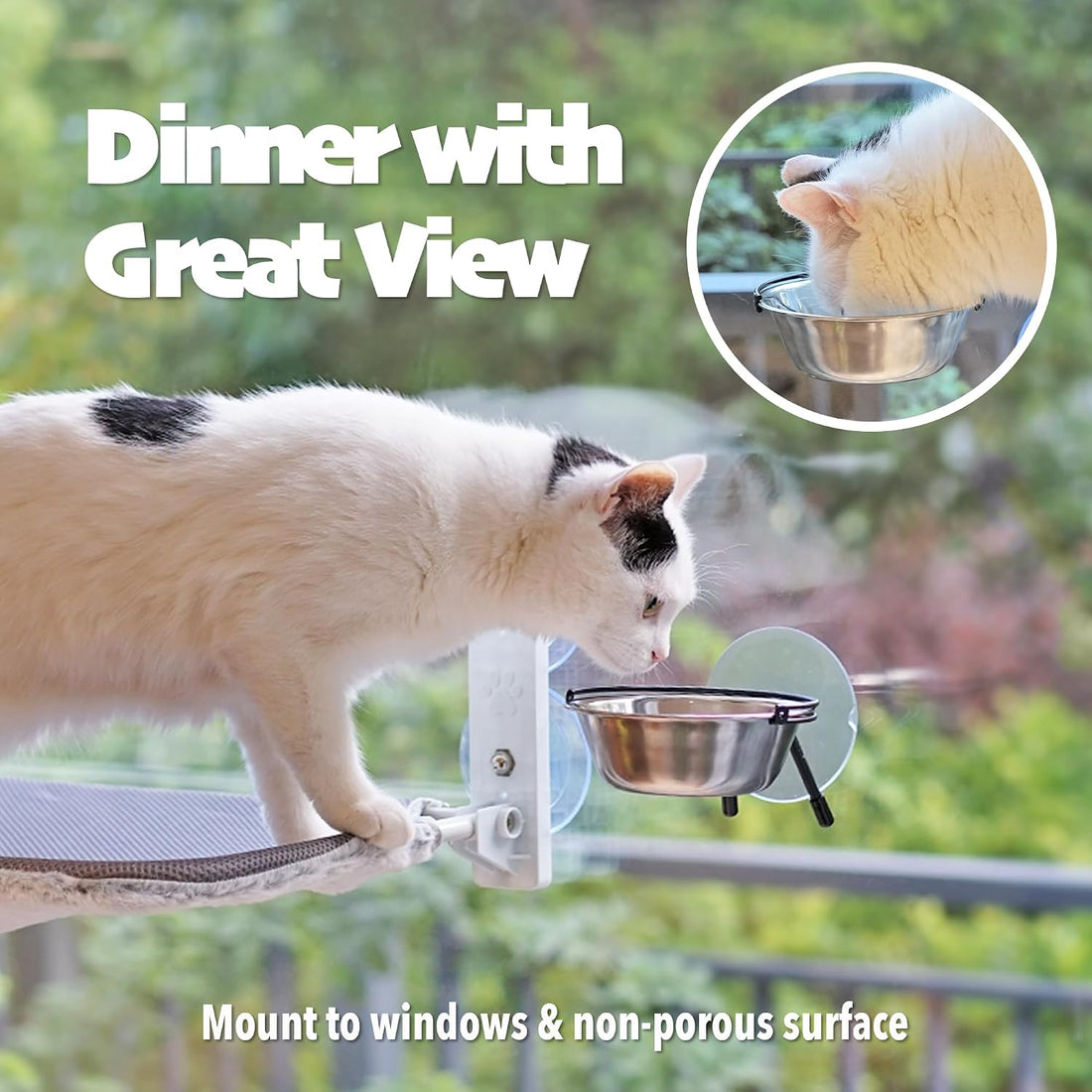 PETKARAY Window Bowls for Indoor Cats, 12 Ounces Food Bowl for Window