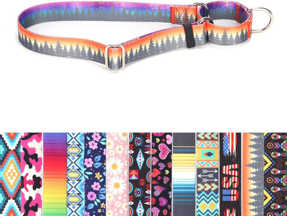 Martingale Collar for Dogs, No-Slip Escape Proof Choke No Pull Cinch