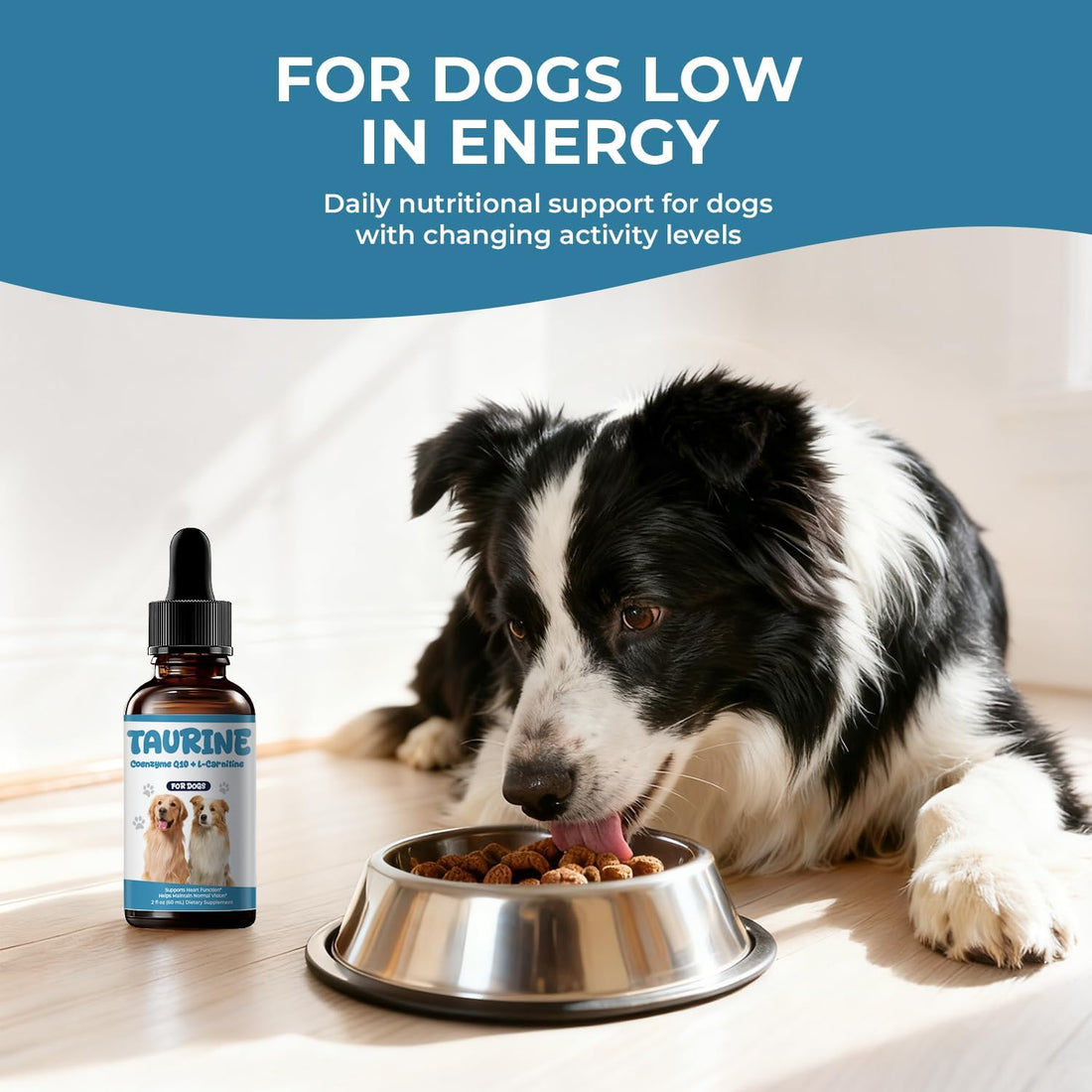 Taurine Supplement for Dogs Liquid Drops, Coenzyme Q10 & L-Carnitine