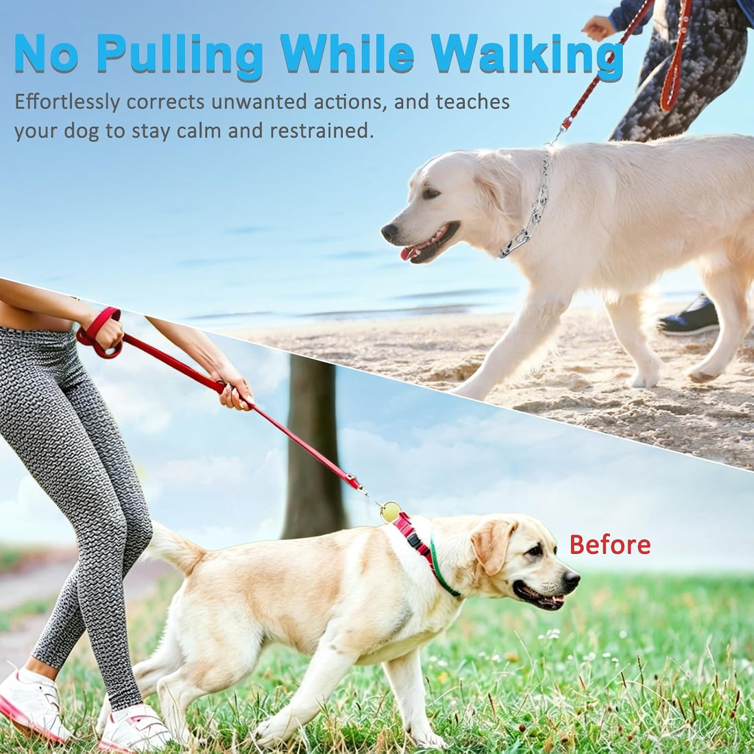 Prong Pinch Collar for Dogs,Dog Training Collar for Small Medium