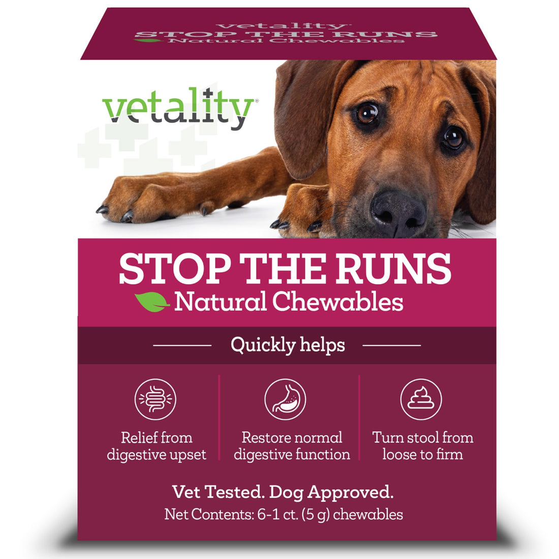 Vetality Stop The Runs | Dog Anti Diarrhea Medicine | 6 Count Chewable