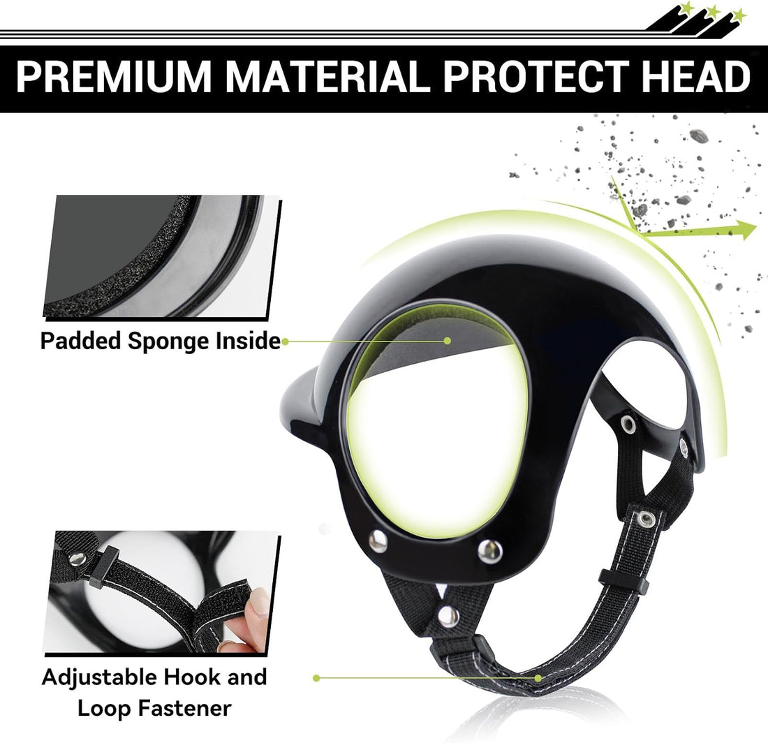 Dog Goggles and Pet Helmet Set