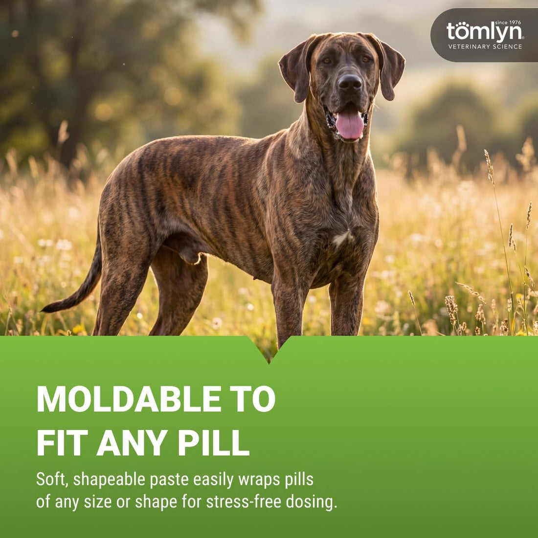TOMLYN Pill-Masker Original Bacon-Flavored Paste for Dogs & Cats, 4oz