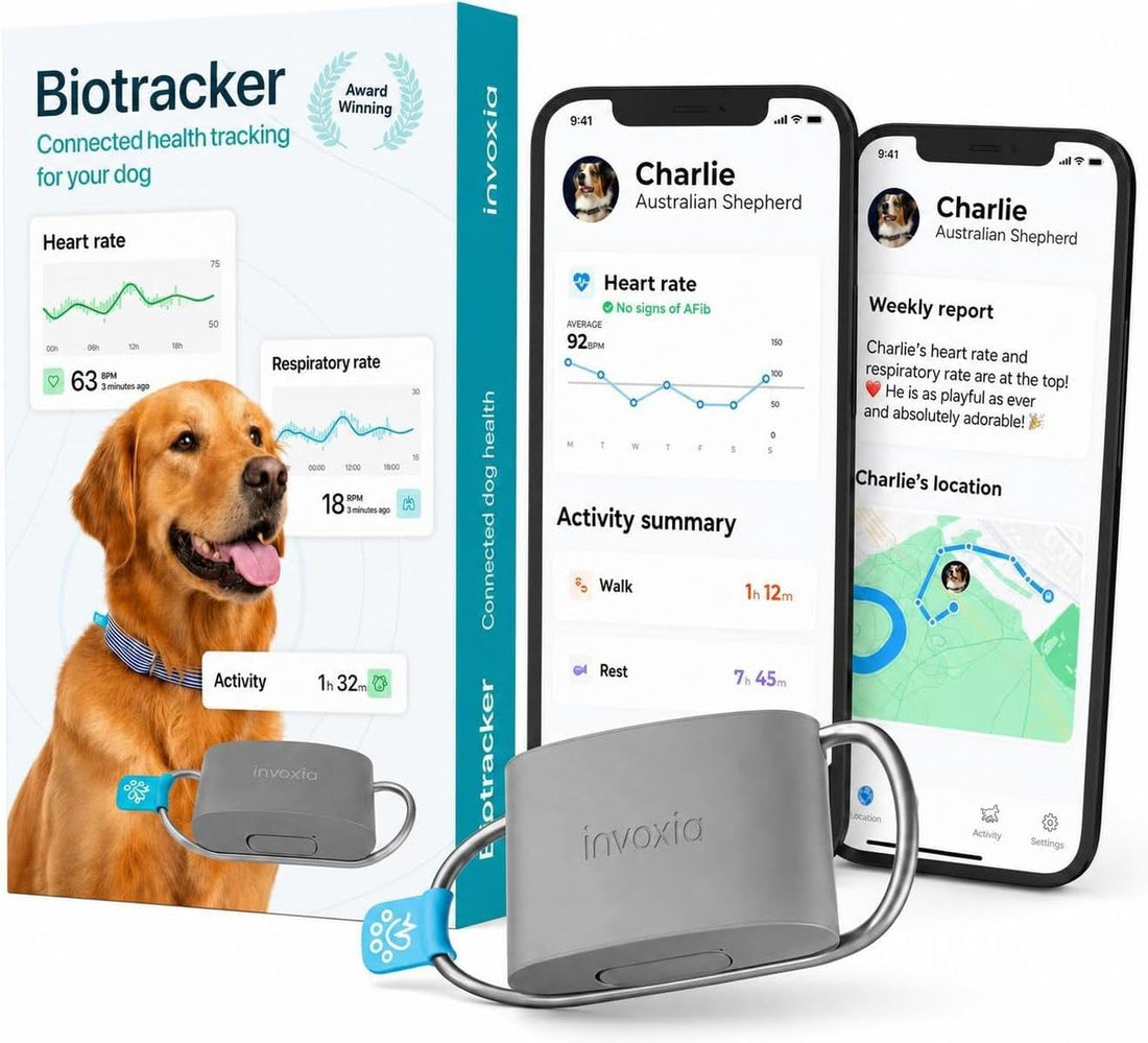 Invoxia Biotracker 2026 Edition - Health and GPS Tracker for Dogs
