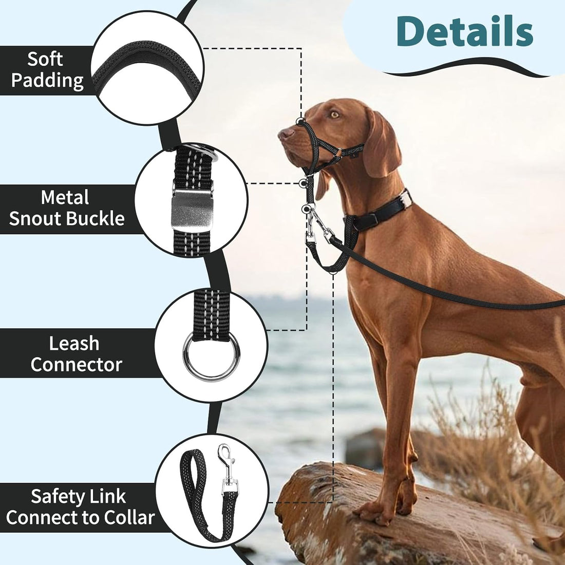 BARKLESS No Pull Head Collar for Medium Large Dogs, Sturdy Head Halter