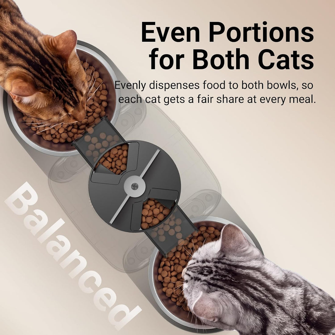 DownyPaws Automatic Cat Feeder 2 Cats