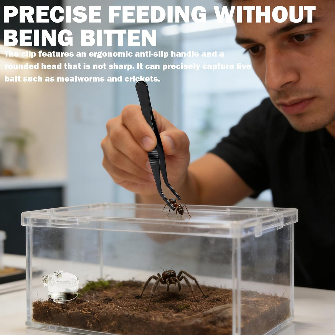 Jumping Spider Feeding Dish 1 Pack Magnetic Water Bowl with Tweezers