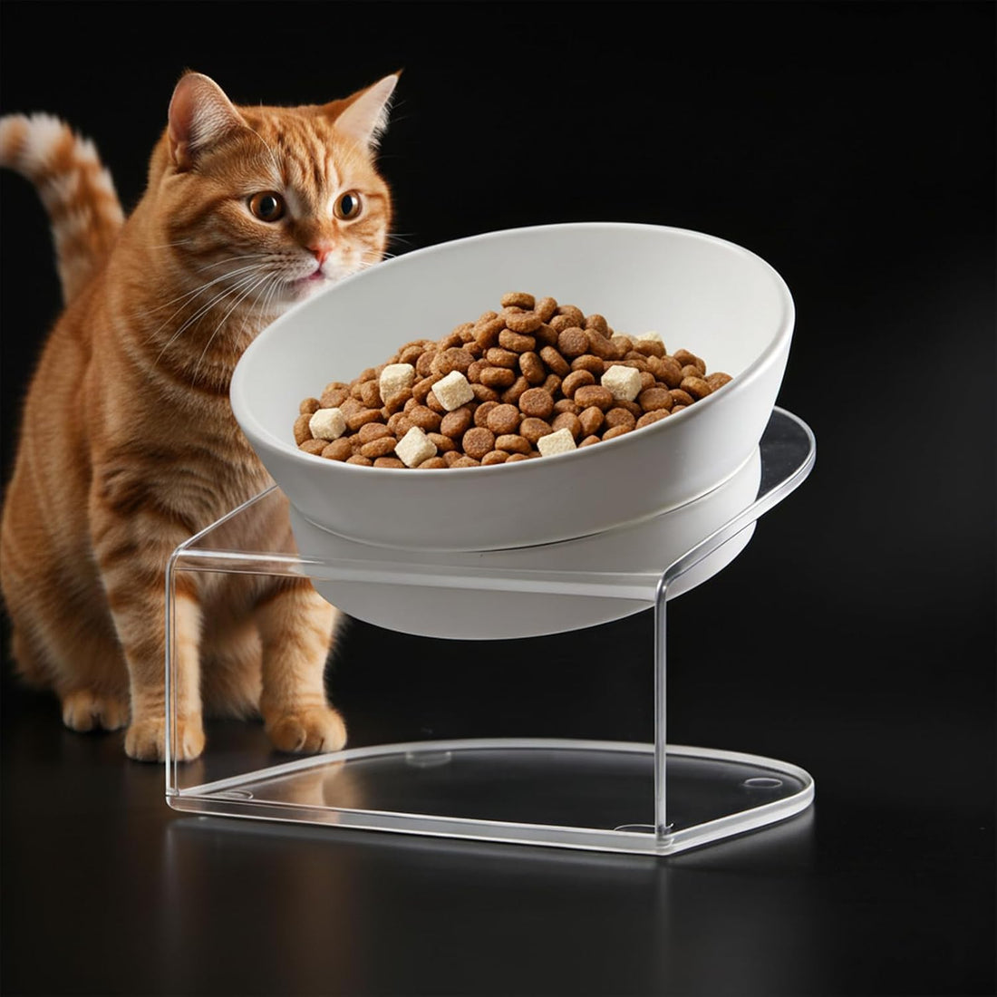 LivLab Mker Dog Food Storage Container 10 Lbs