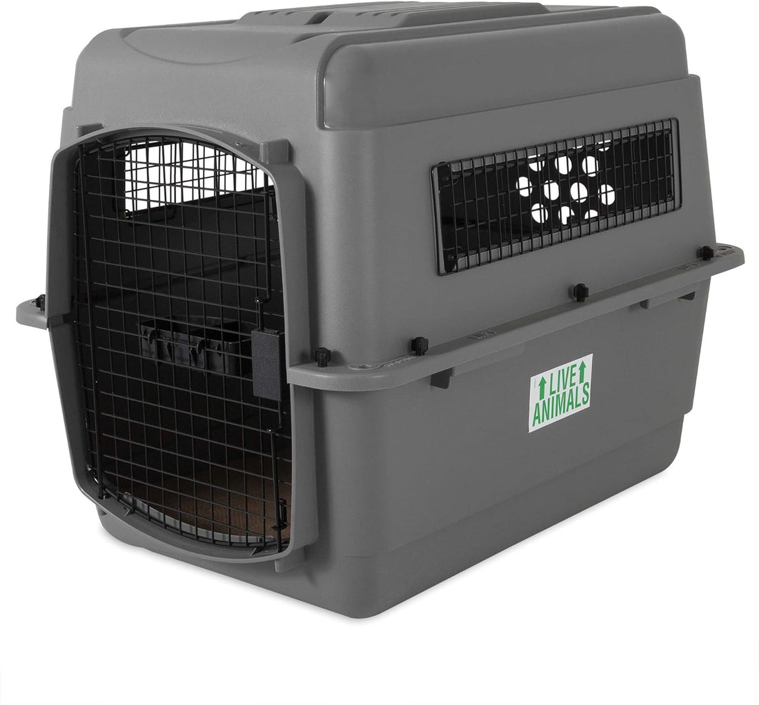 Petmate Sky Kennel Pet Carrier and Petmate 290300 Kennel Travel Kit
