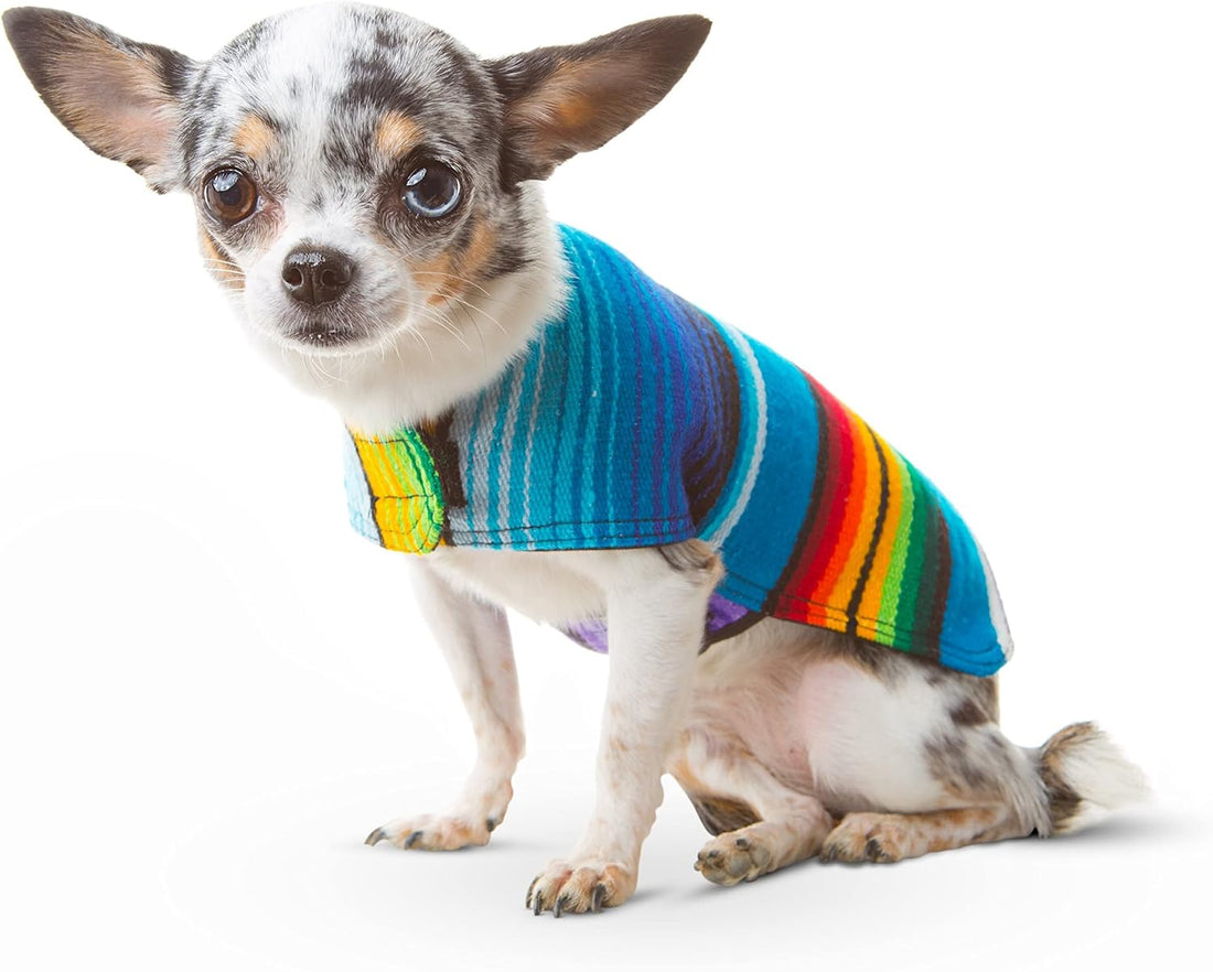 Dog Clothes - Handmade Dog Poncho from Authentic Mexican Blanket by