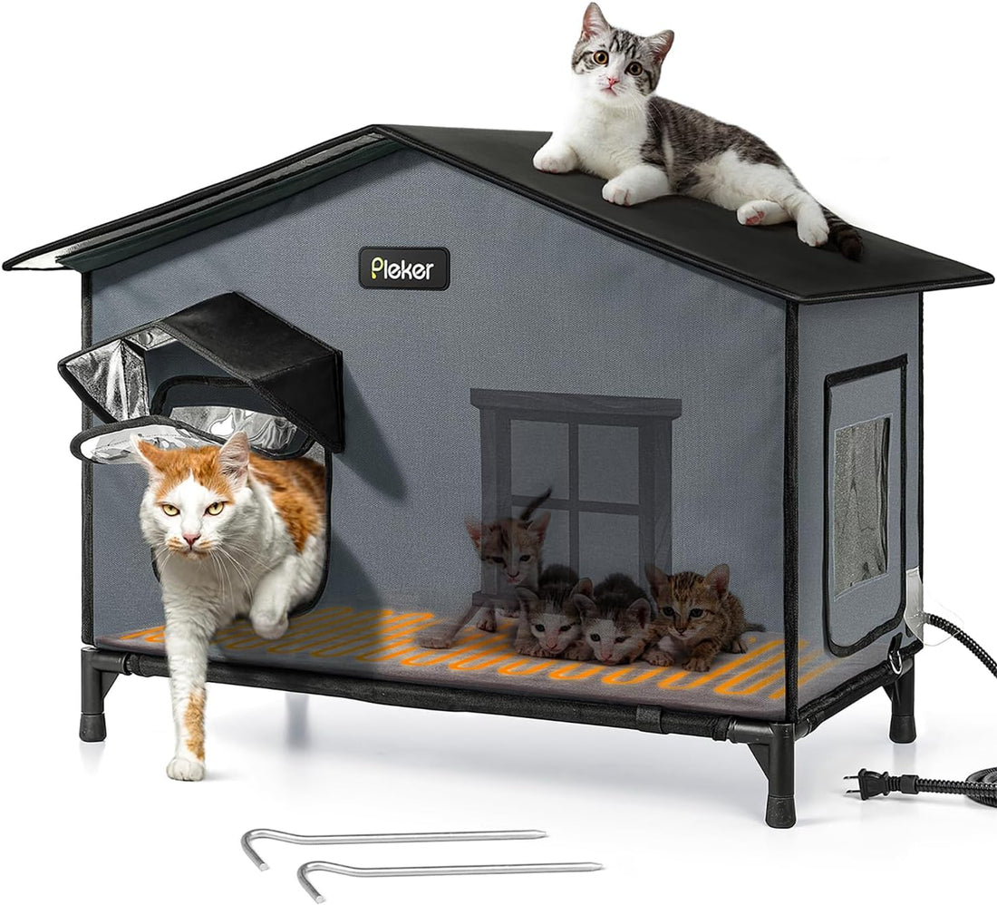 Heated Cat House for Outside