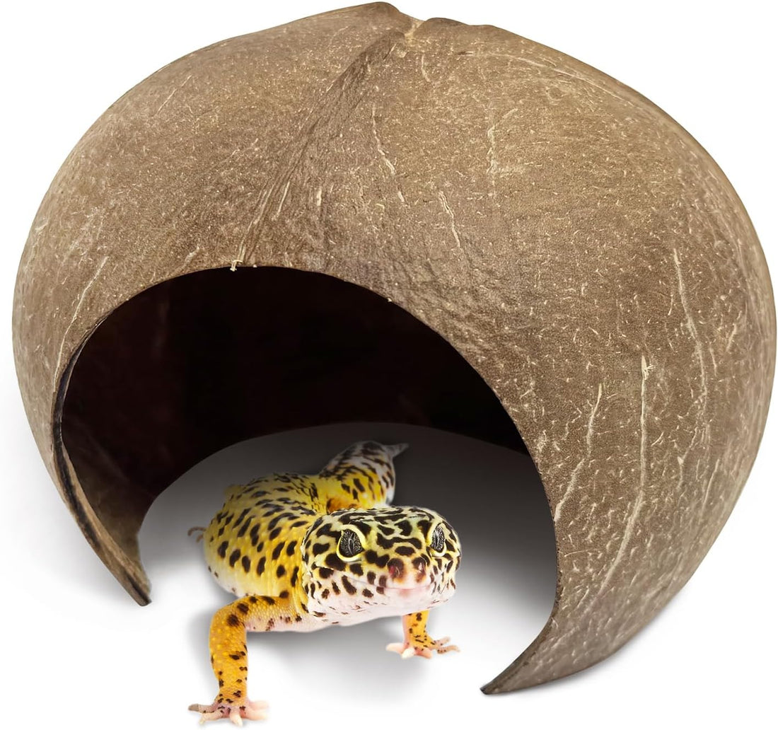PINVNBY 2 PCS Natural Coconut Reptile Hideouts Lizard Coco Hut Hermit
