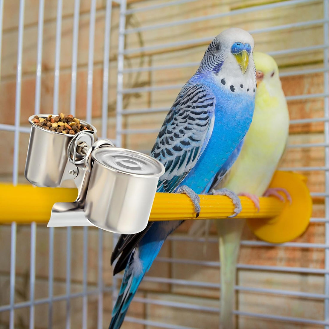 Tioncy 2 Pcs Stainless Steel Bird Bowls
