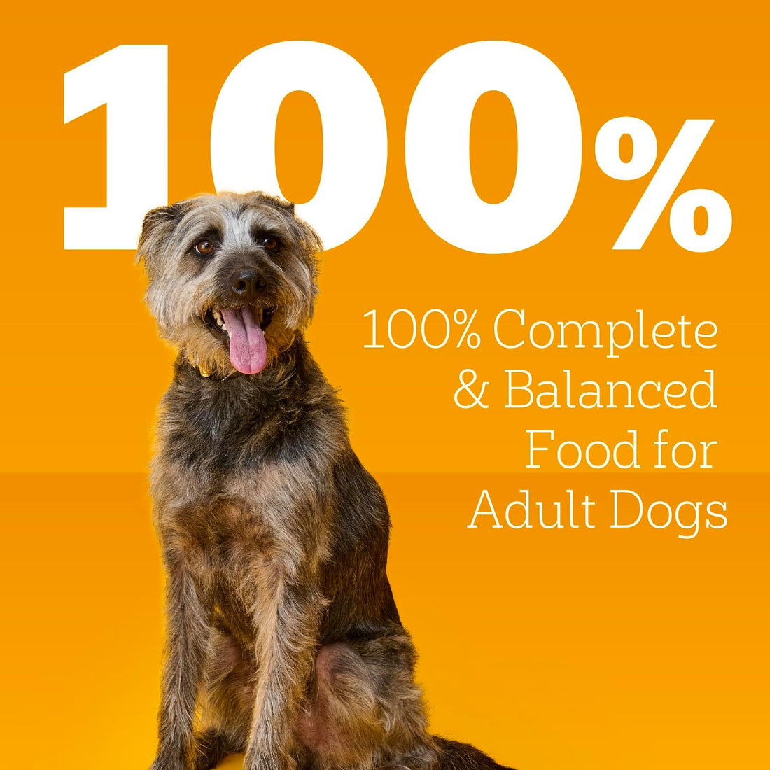 Pedigree Chopped Ground Dinner Adult Soft Wet Dog Food with Chicken