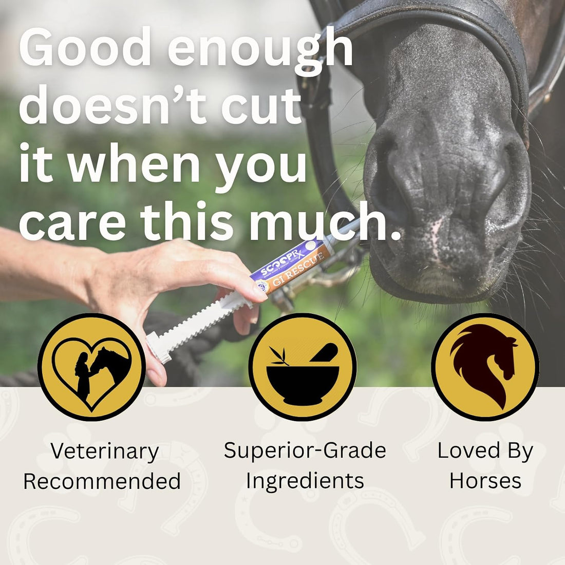 Horse Digestive Support System | Emergency & Daily GI Balance