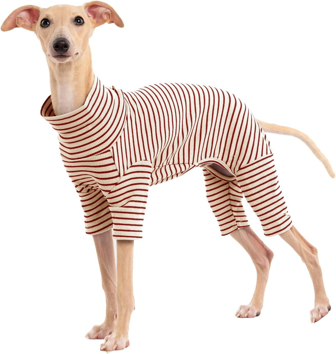 Dog Sweaters for Small Dogs Girls Boys