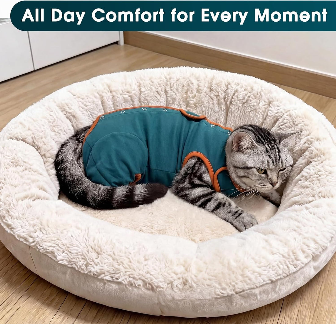 DENTRUN Cat Recovery Suit - Post-Surgery Onesie with Hind Legs