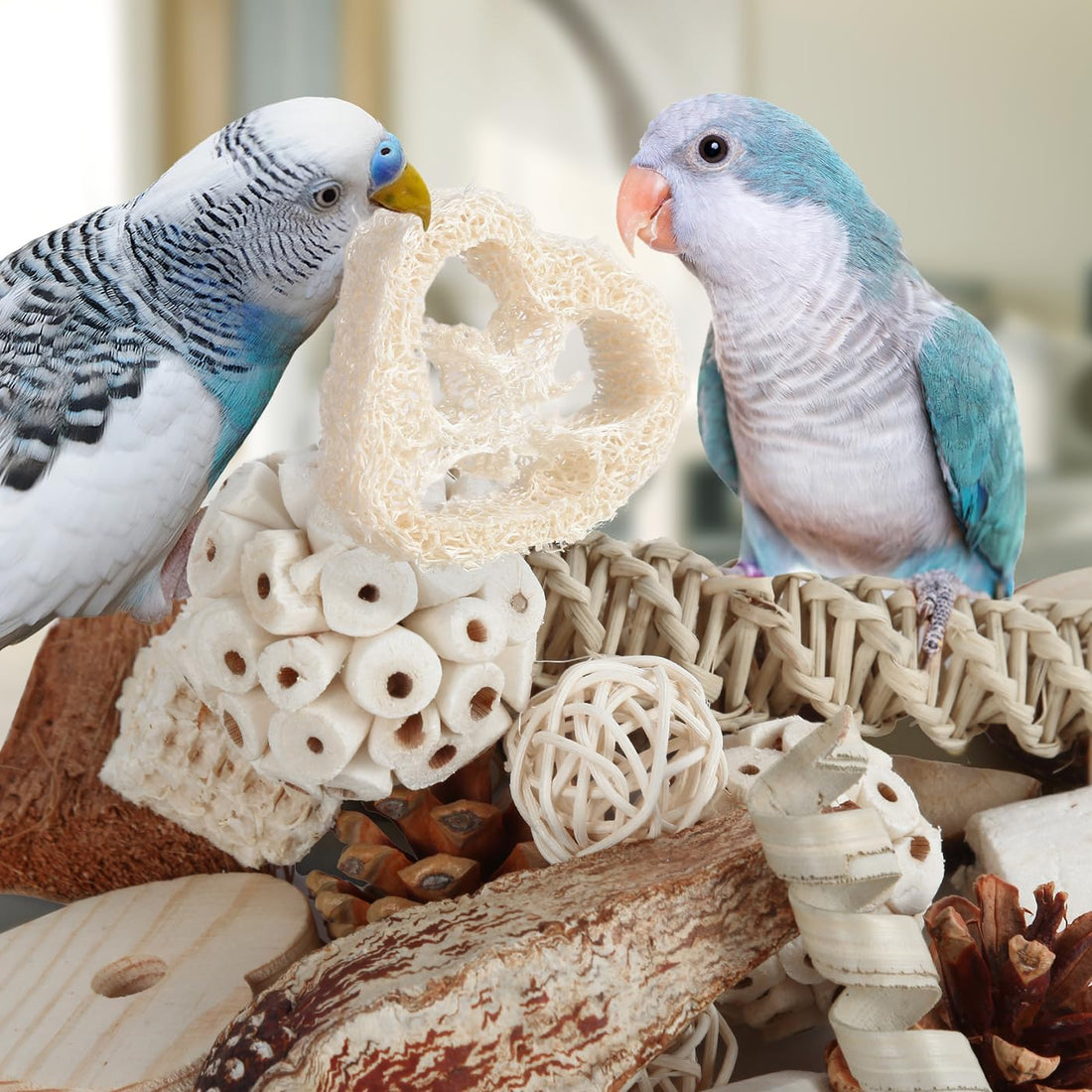 Kyouki Bird Toys Parrot Toys Natural Bird Foraging Box Foot