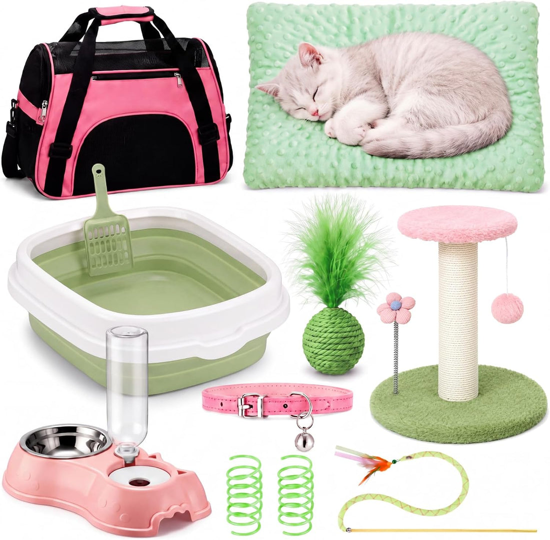 Eccliy 10 Pcs Kitten Starter Kit for Indoor
