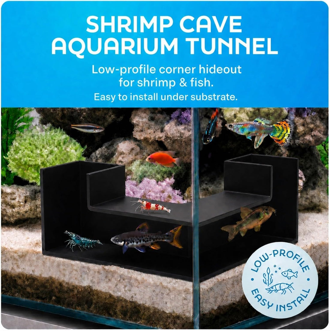 Aquarium Underground Tunnel 5"