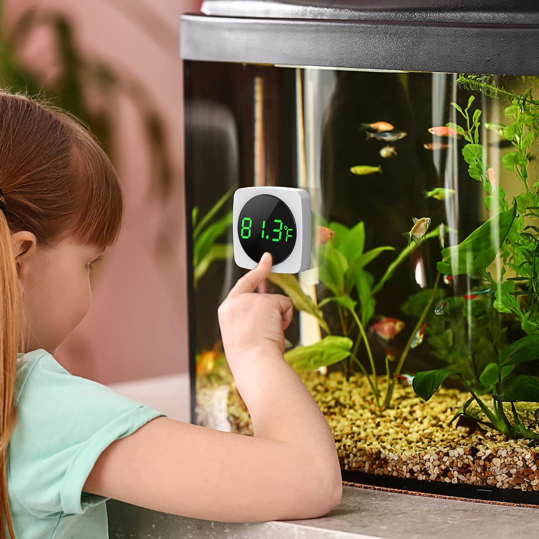 PAIZOO Aquarium Thermometer, LED Digital Fish Tank Thermometer, White