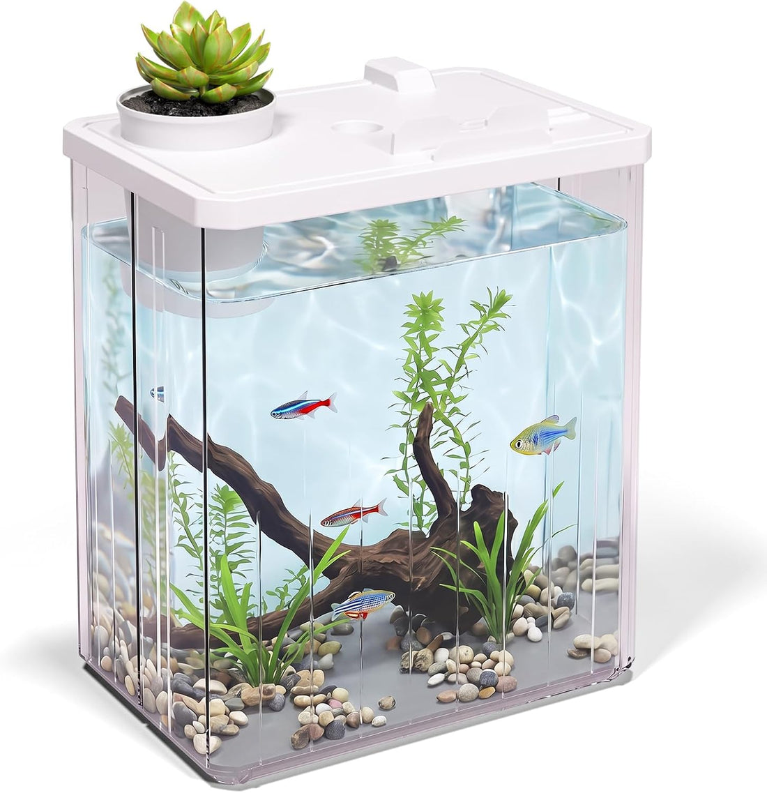 5 Gallon Fish Tank Aquarium Starter Kit with Filter and Light