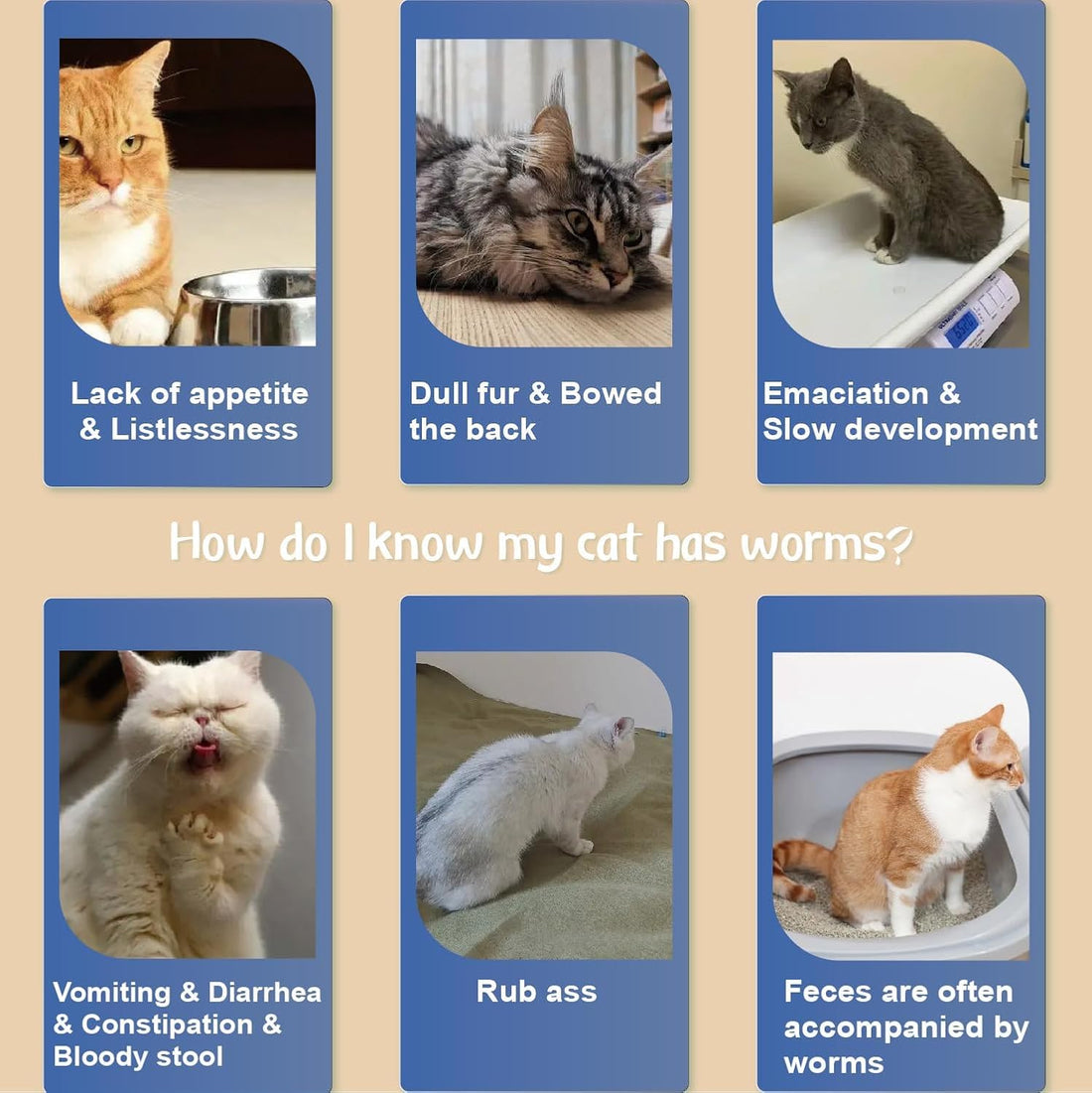 Advanllent Flea Collar for Cats, Flea and Tick Collars for Kittens