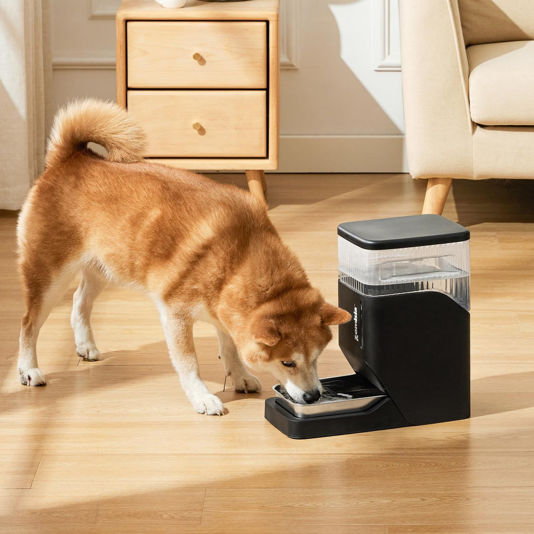 ZOMISIA 2.1 Gallon Gravity Dog Water Dispenser with Stainless Steel