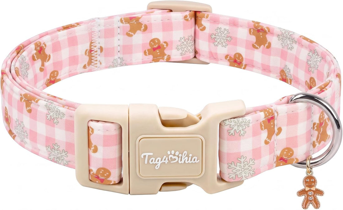 Dog Collar with Orange and Blue Plaid-M