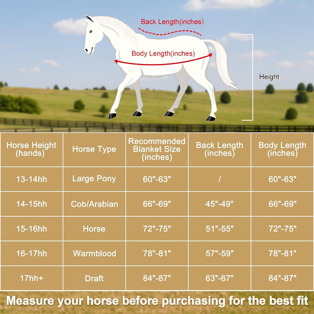 Horse Fleece Cooler Blanket, Moisture Wicking Post-Workout Drying