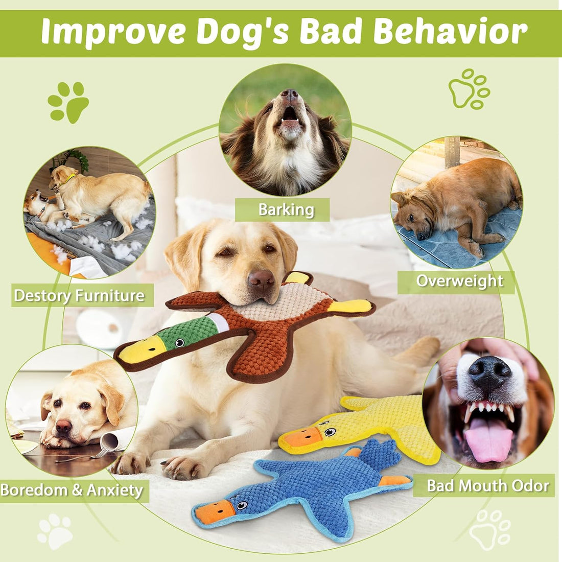 Dog Toys 3-Pack Cute Duck Shapes Puppy Toys No-Stuffing Squeaky