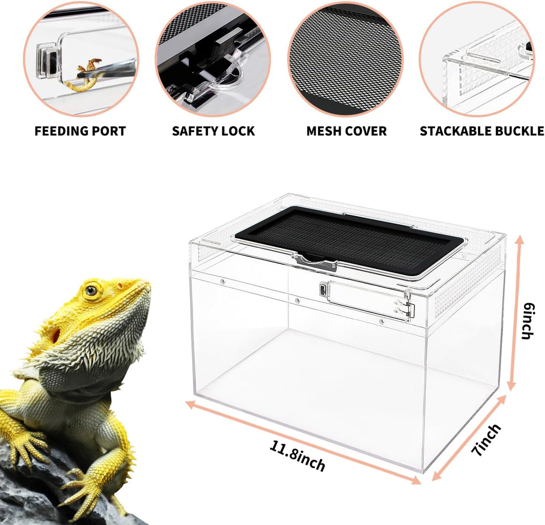 Mini Reptile Terrarium Set,11.8" x 7"x 6" Low Reptile Tank with Full