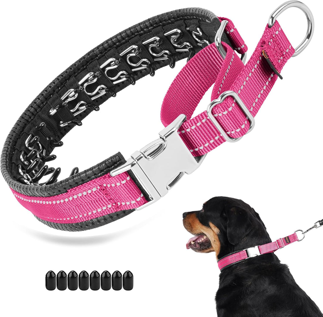 Mayerzon No Pull Collar with Alloy Buckle for Large Dogs that Pull