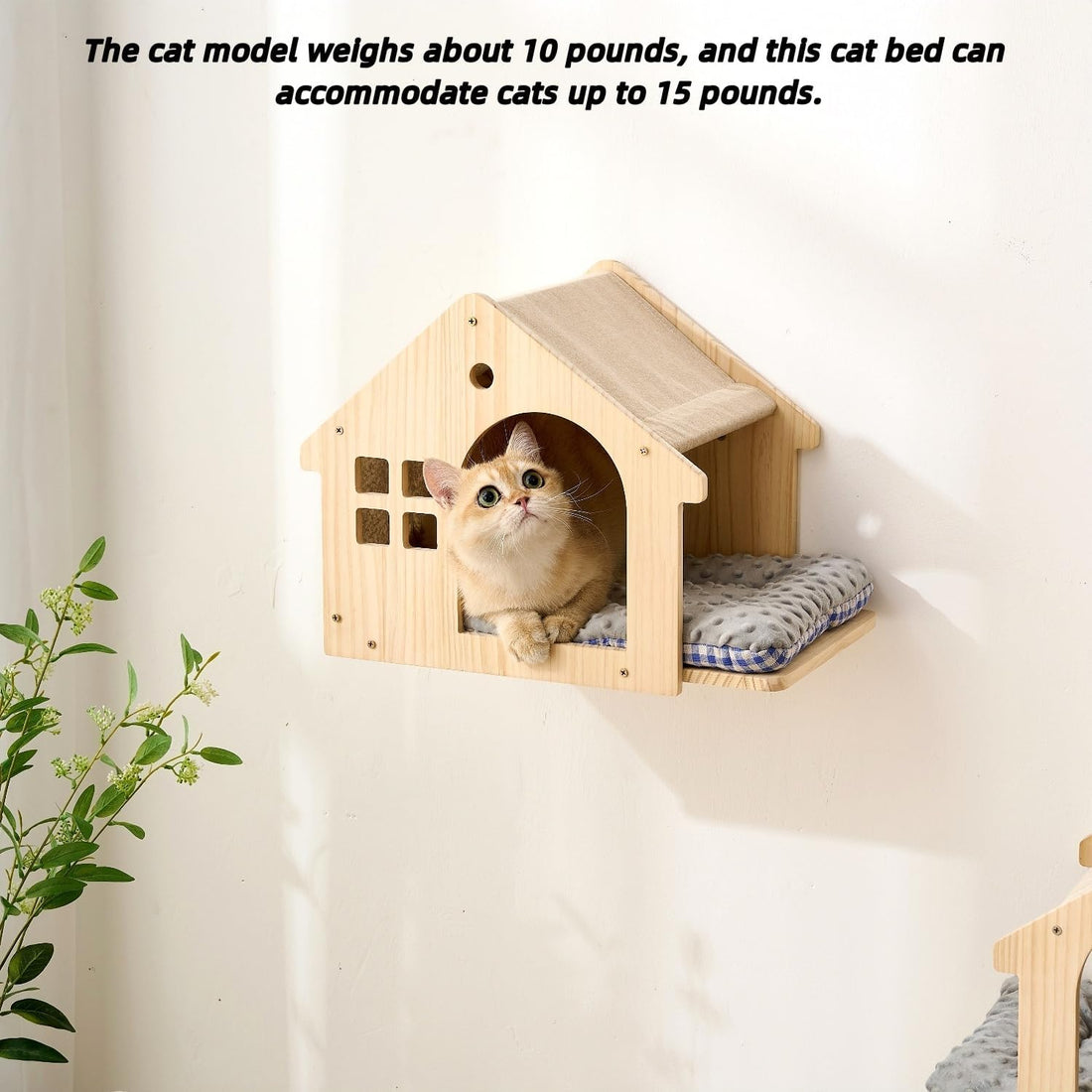 SHENGOCASE Wall Mounted Cat Furniture Set