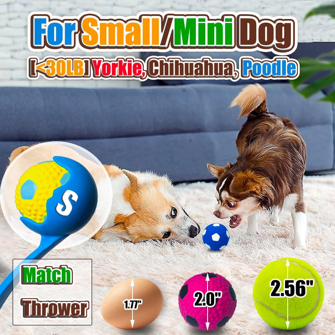 HOLYSTEED Squeaky Dog Toys for Small Dogs