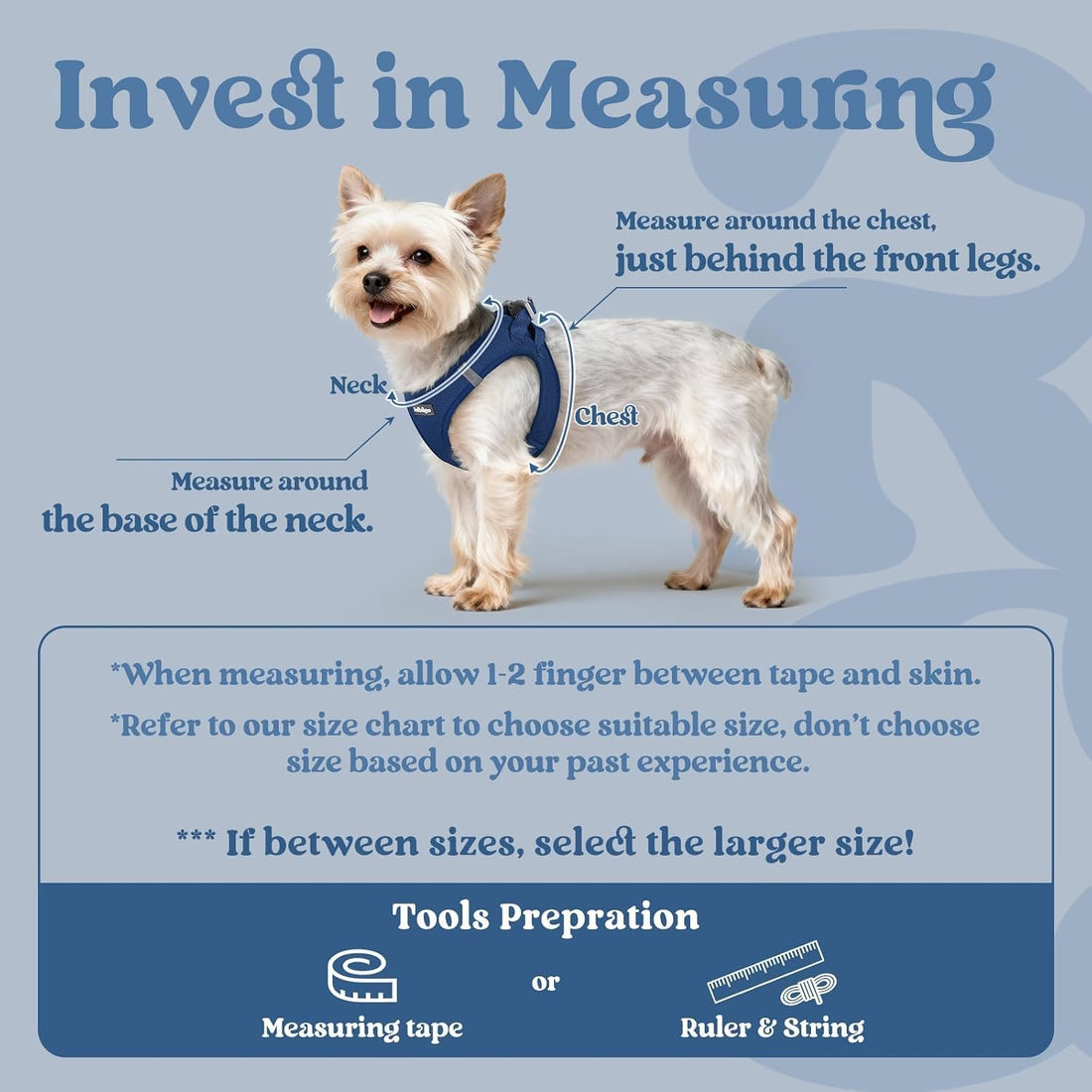 rabbitgoo Small Dog Harness, Step-in Soft Mesh Puppy Vest with Safety