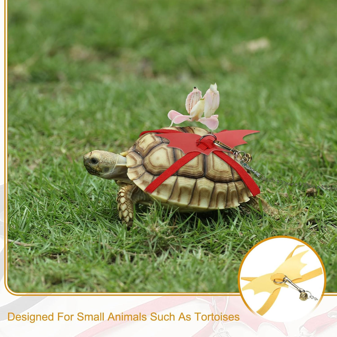 Tortoise Leash Harness, Adjustable Turtle Harness Chest Collar Pet