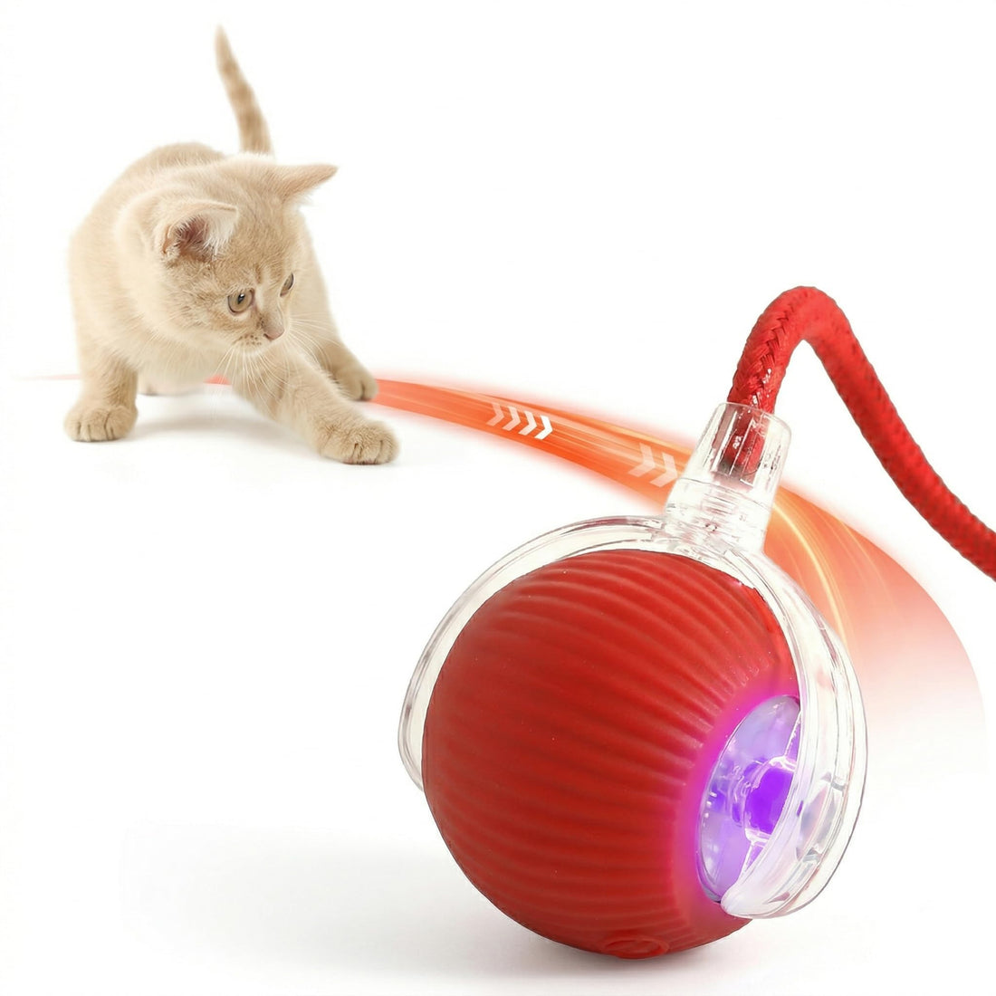 Rcxnm Interactive Cat Ball Toy with String