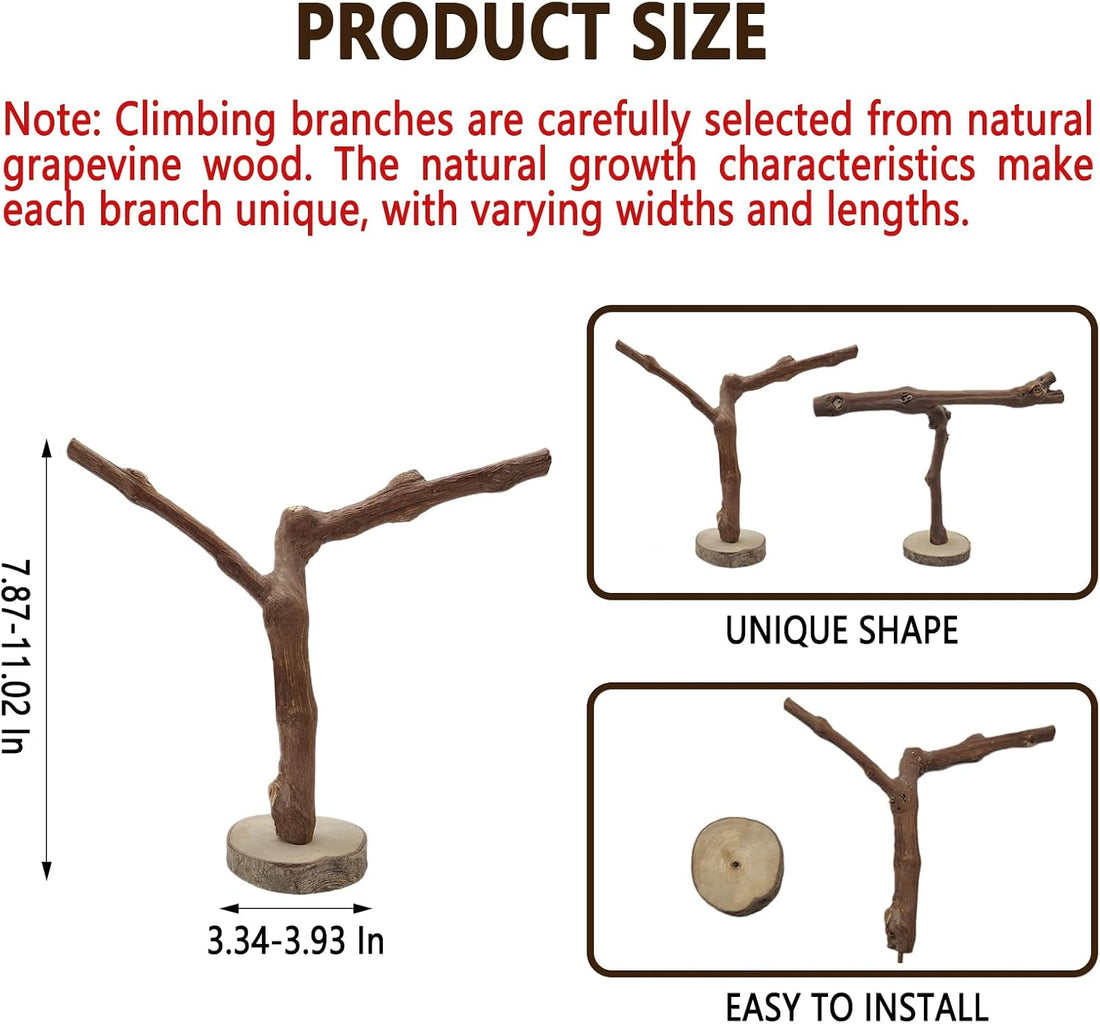 BNOSDM Reptile Grapevine Wood Lizard Natural Wood Climb Tree Branch