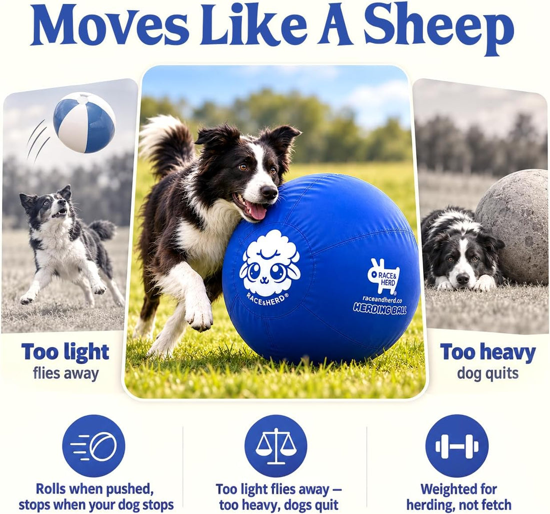 Race&Herd 25" Original Herding Ball — Cover, Inner Ball & Pump (Ocean)