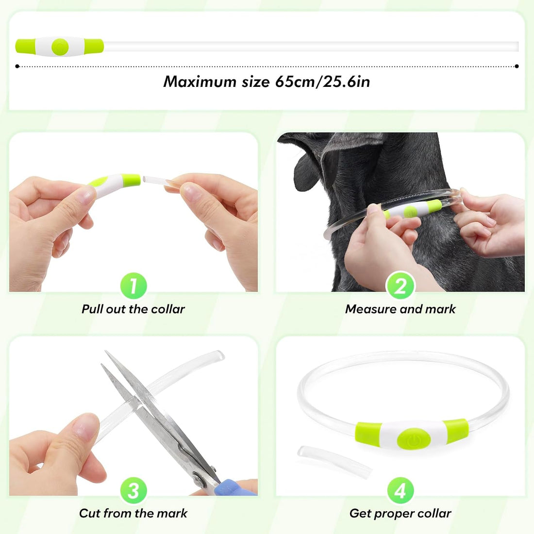 BSEEN Light Up Dog Collar (Green 70cm)