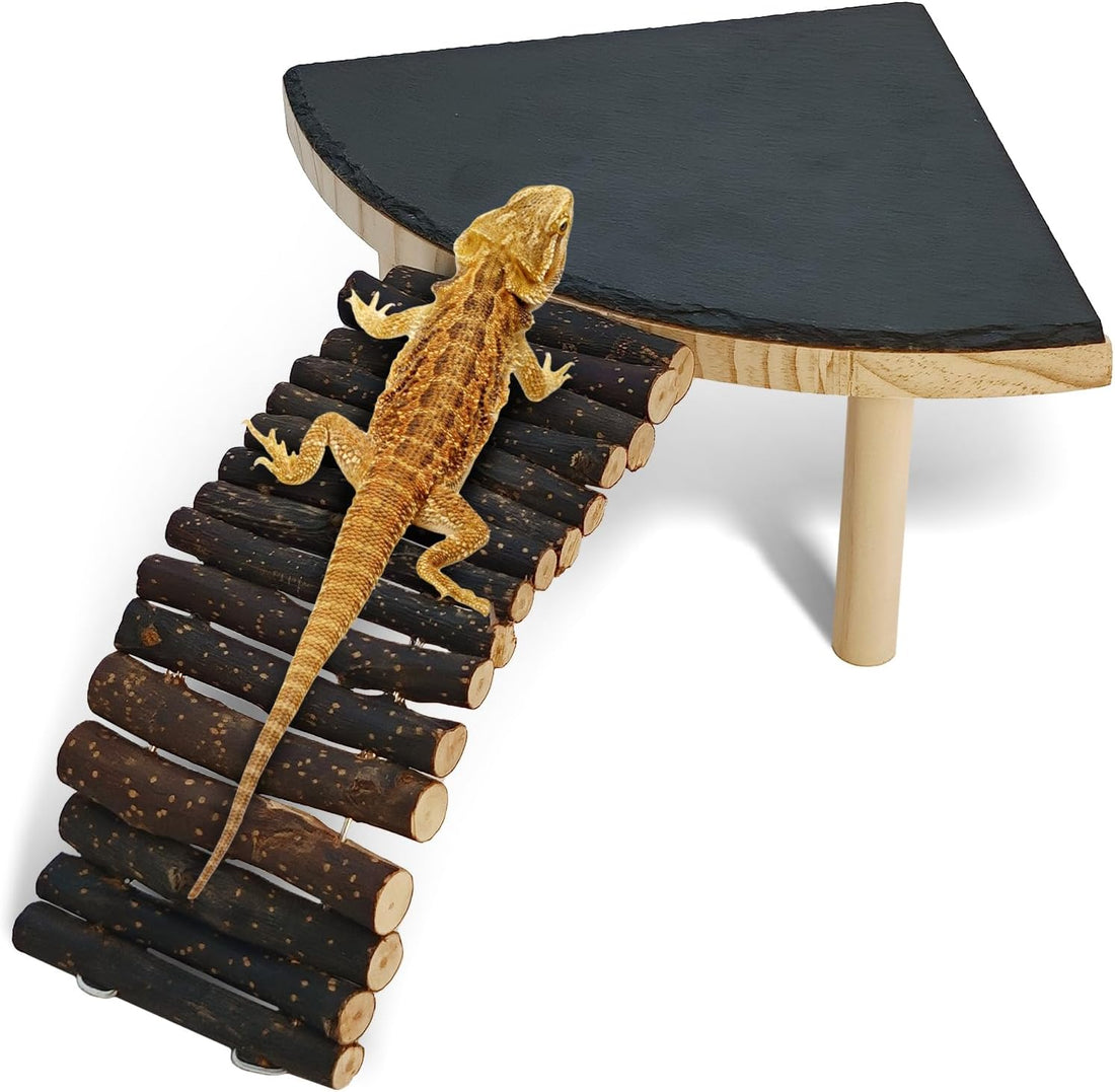 BNOSDM Bearded Dragon Basking Platform Climbing Rocks for Reptiles