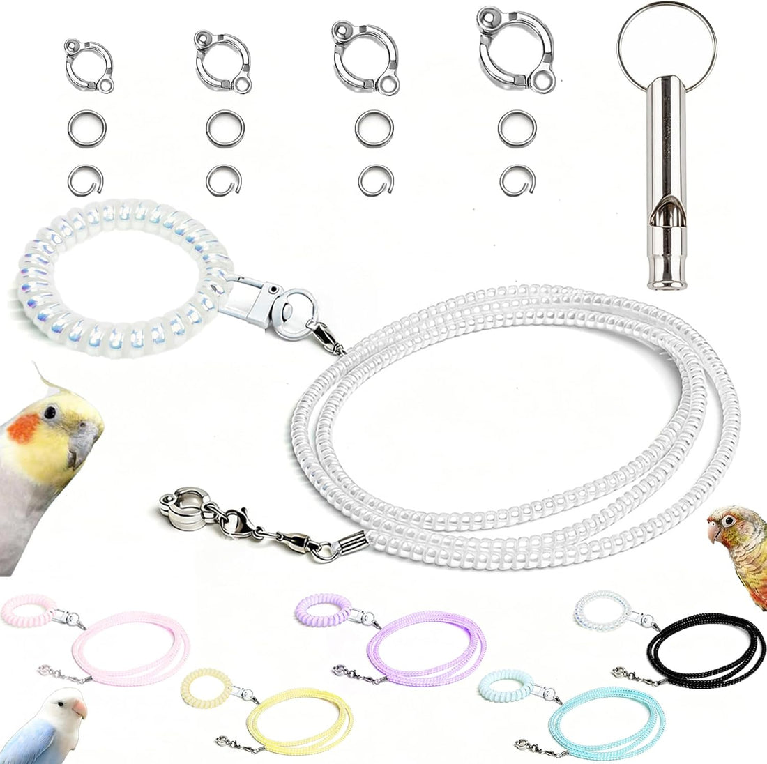 Parrot Flying Leash with 4 Size Foot Rings & Training Whistle