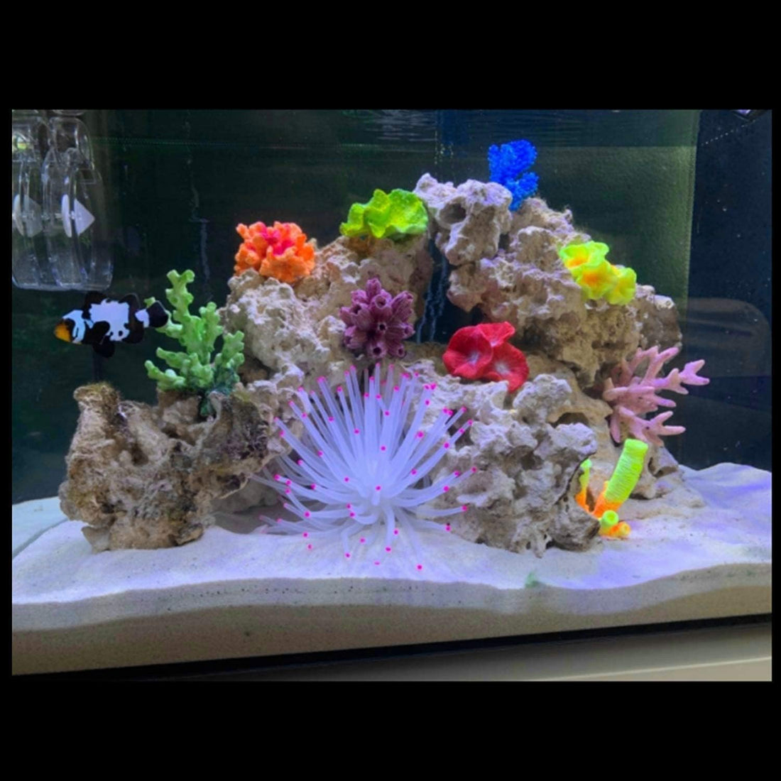 Silicone Sea Anemone Aquarium Decoration Coral Ornament
